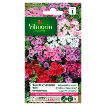Phlox de Drummond à grande fleur varié : en sachet