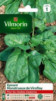 Graines d'épinard'Monstrueux de Viroflay en sachet