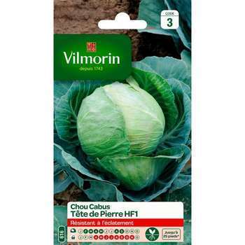 Graines de chou CabusTete de pierre Hybride F1 en