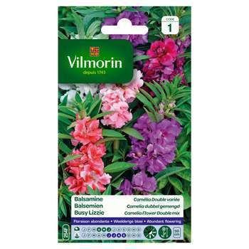 Balsamine Camélia double variée : en sachet