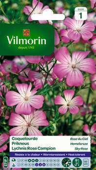 Coquelourde Rose du ciel : en sachet