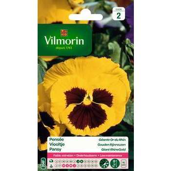 Pensée Géante Or du Rhin : en sachet