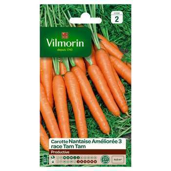 Graines de carotte Nantaise améliorée 3 race Tam T