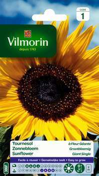 Tournesol à fleur géante : en sachet