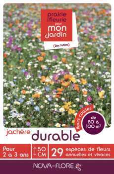Mélange fleuri  Jachère durable  500 g - En boite