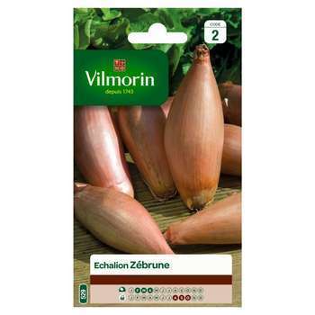 Graines d'échalion Zebrune en sachet