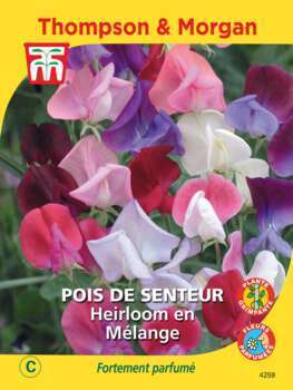 Pois de Senteur Heirloom Mixed
