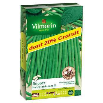 Graines de haricot nain sans fil Skipper + 20 gr g