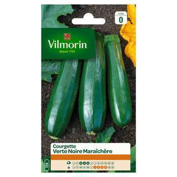 Graines de courgette verte noire Maraîchère en sac