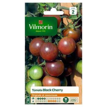 Graines de tomate Black Cherry en sachet