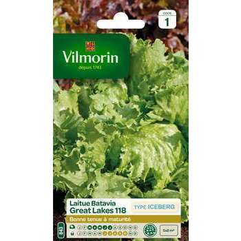 Graines de laitue Batavia Great Lakes 118 en sache