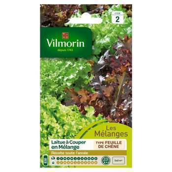 Graines de laitue à couper en melange Bowl verte e