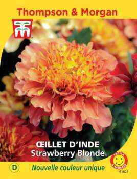 sachet de semence