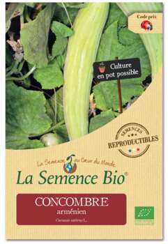Graines potagères concombre arménien Bio en sachet