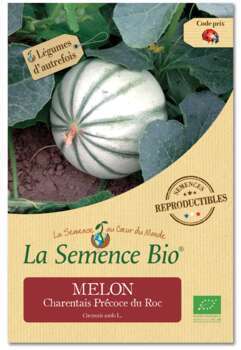 Graines potagères melon Charentais Précoce du Roc