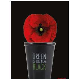 Kit de plantation black Coquelicot