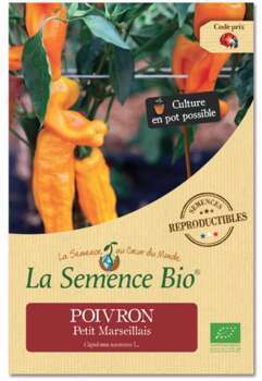 Graines potagères poivron Petit Marseillais Bio en