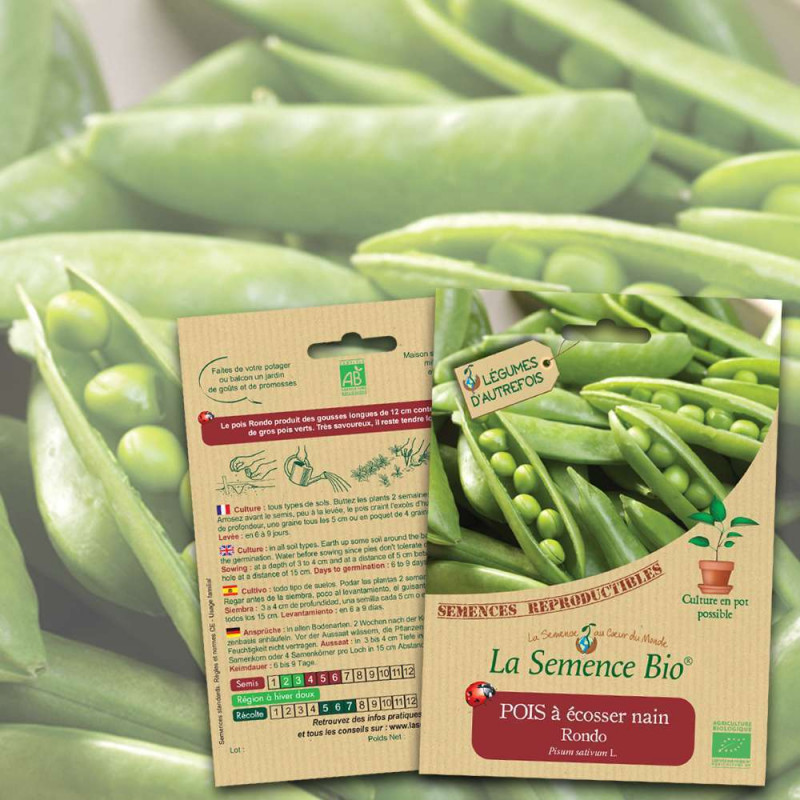 Graines potagères Pois à écosser nain Rondo Bio
