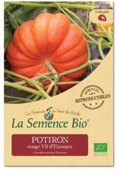 Graines potagères courge rouge Vif d'Etampes Bio e