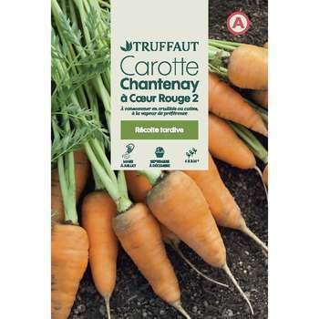 Graines de carotte de Chantenay à cur rouge 2 en