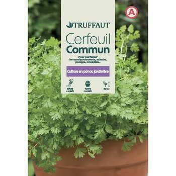 Graines de cerfeuil commun en sachet