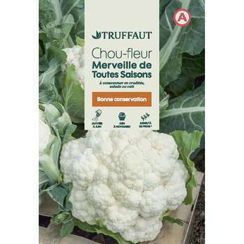 Graines de chou fleur merveille de toutes saisons