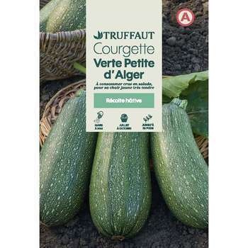 Graines de courgette verte petite d'alger en sache