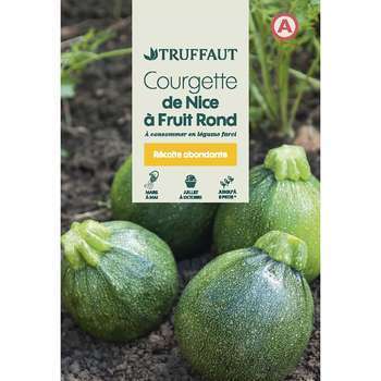 Graines de courgette ronde de Nice en sachet