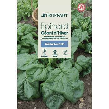 Graines d'épinard'géant d'hiver en sachet