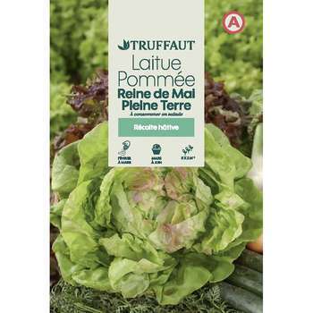 Graines de laitue reine de mai pleine terre en sac