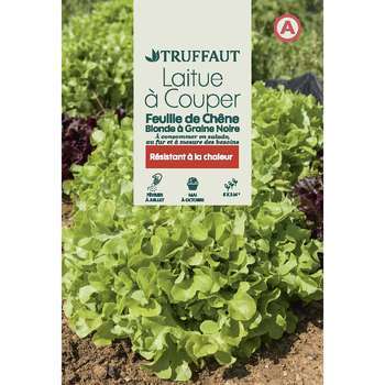 Graines de laitue à couper feuille de chêne blonde