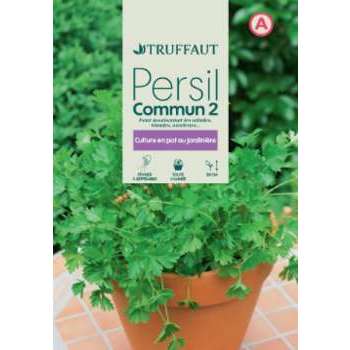 Graines de persil commun 2 en sachet