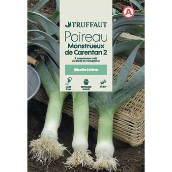 Graines de poireau monstrueux de Carentan 2 en sac