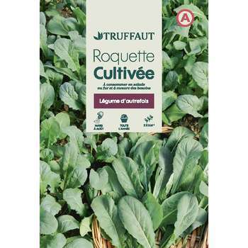Graines de roquette cultivée en sachet