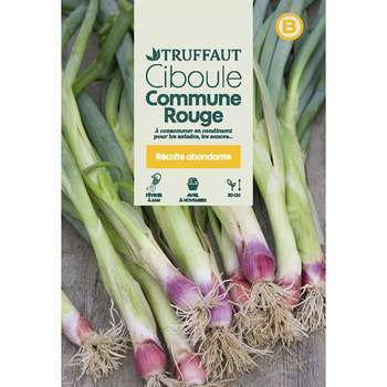 Graines de ciboule commune rouge en sachet