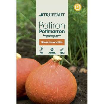 Graines de potiron potimaron en sachet