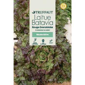 Graines de laitue Batavia rouge grenobloise en sac