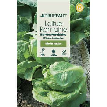 Graines de laitue romaine blonde maraichere en sac