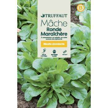 Graines de mâche ronde maraichere en sachet