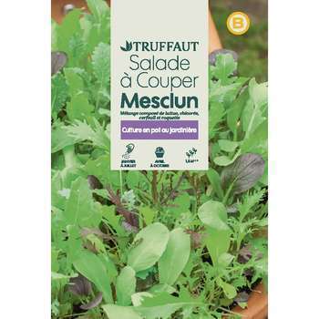 Graines de Mesclun en sachet
