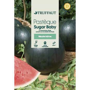 Graines de Pasteque Sugar Baby en sachet