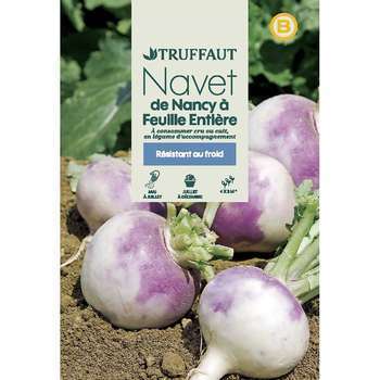 Graines de navet de Nancy à feuille entiere en sac