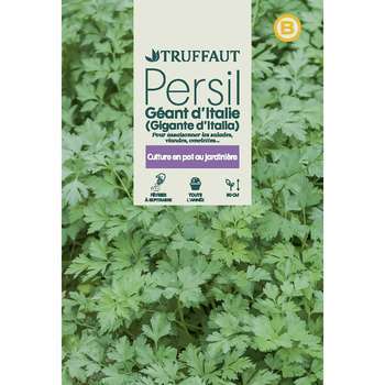 Graines de persil Commun géant d'italie en sachet