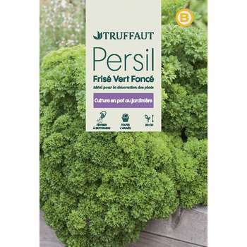 Graines de persil frisé Vert Foncé en sachet
