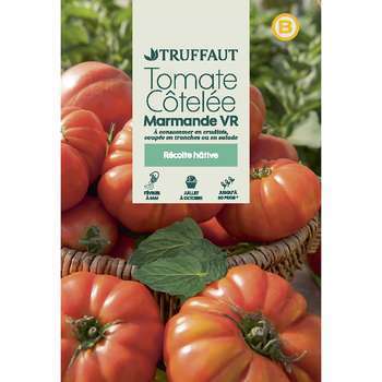 Graines de tomate Marmande en sachet