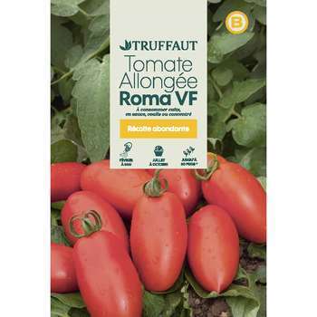 Graines de tomate roma vf en sachet