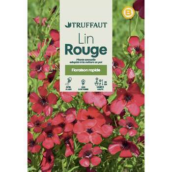 Lin rouge à grande fleur : en sachet