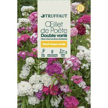 illet de poete Passionata double couleur variée :