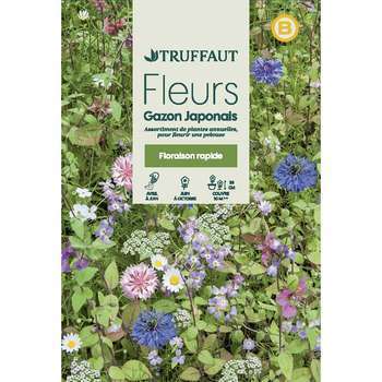 Fleurs en mélange pour gazon Japonais : en grand s