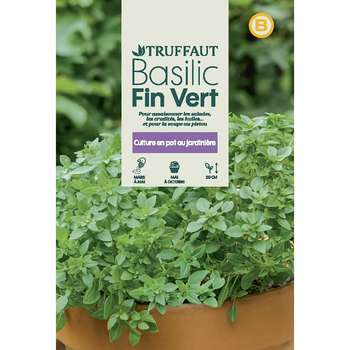 Graines de basilic fin vert en sachet